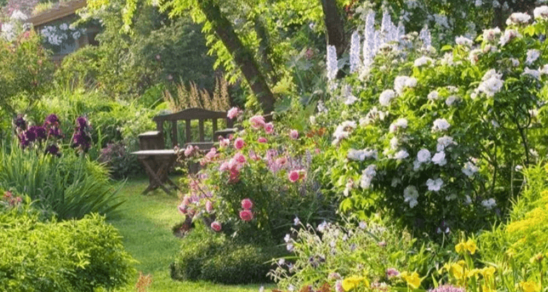 Jardin à la française